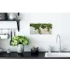 Klimop - Muur - Groen Muursticker klein -keuken