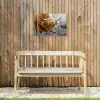 Schotse Hooglander - Dieren - Bruin - Koe - Zwart - Wit - Natuur Tuinposter op houten frame 2 cm dik klein -sfeer4