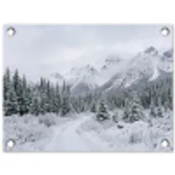Weg - Bergen - Sneeuw - Naaldbos - Avontuurlijk tuinposter los doek klein -3d