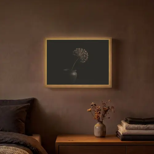 Bol - Gedroogd - Vaas - Zwart Light Box met batterij (Wandlamp) middel -sfeer4
