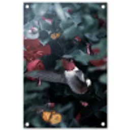 Kolibrie - Roze - Vlinders tuinposter los doek klein -3d