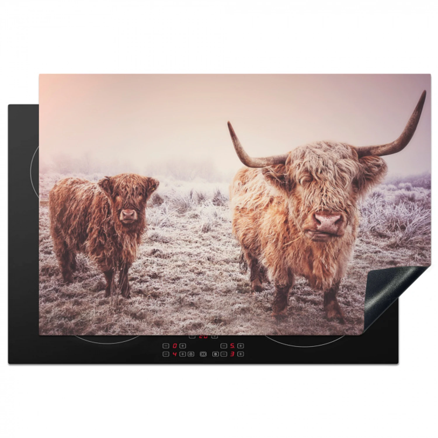 Schotse hooglanders - Licht - Lucht - Natuur Inductie beschermer vinyl 3mm klein -3d