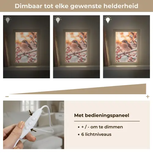 Vogel - Tak - Winter - Dieren - Sneeuw Light Box met kabel (Tafellamp) klein -USP_dimbaarNL
