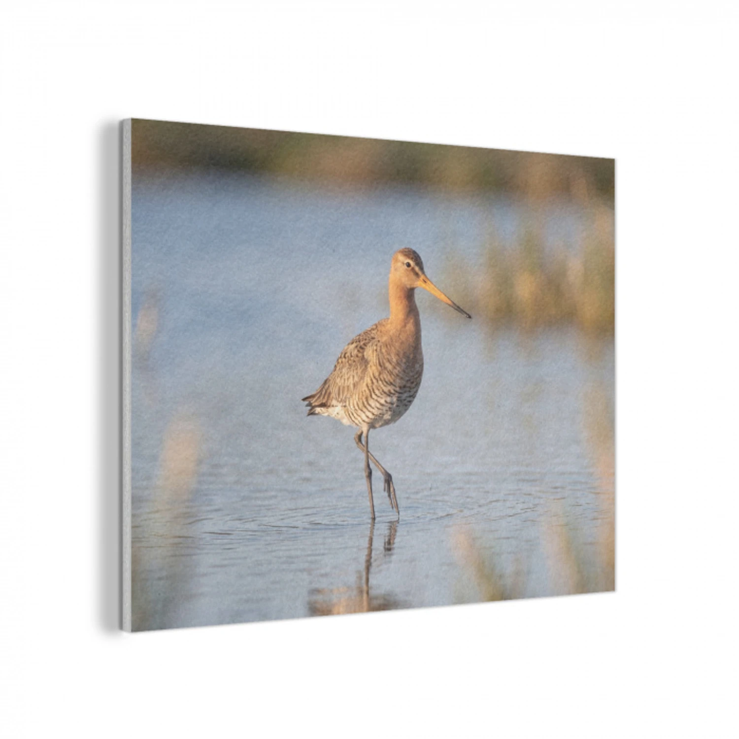 Vogel - Steltloper - Water - Natuur PET vilt klein -3d