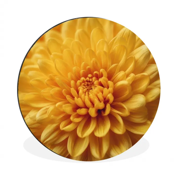 Geel - Chrysant - Zachtheid Wandcirkel aluminium klein -3d