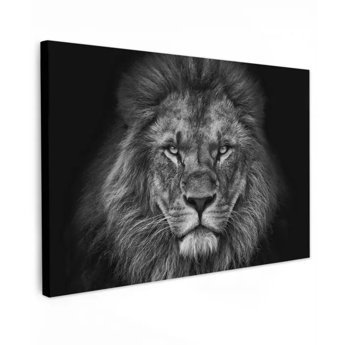 Leeuw - Dieren - Zwart - Wit canvas 2cm klein -z3d