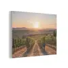 Wijngaard - Zonsondergang - Landschap PET vilt klein -3d
