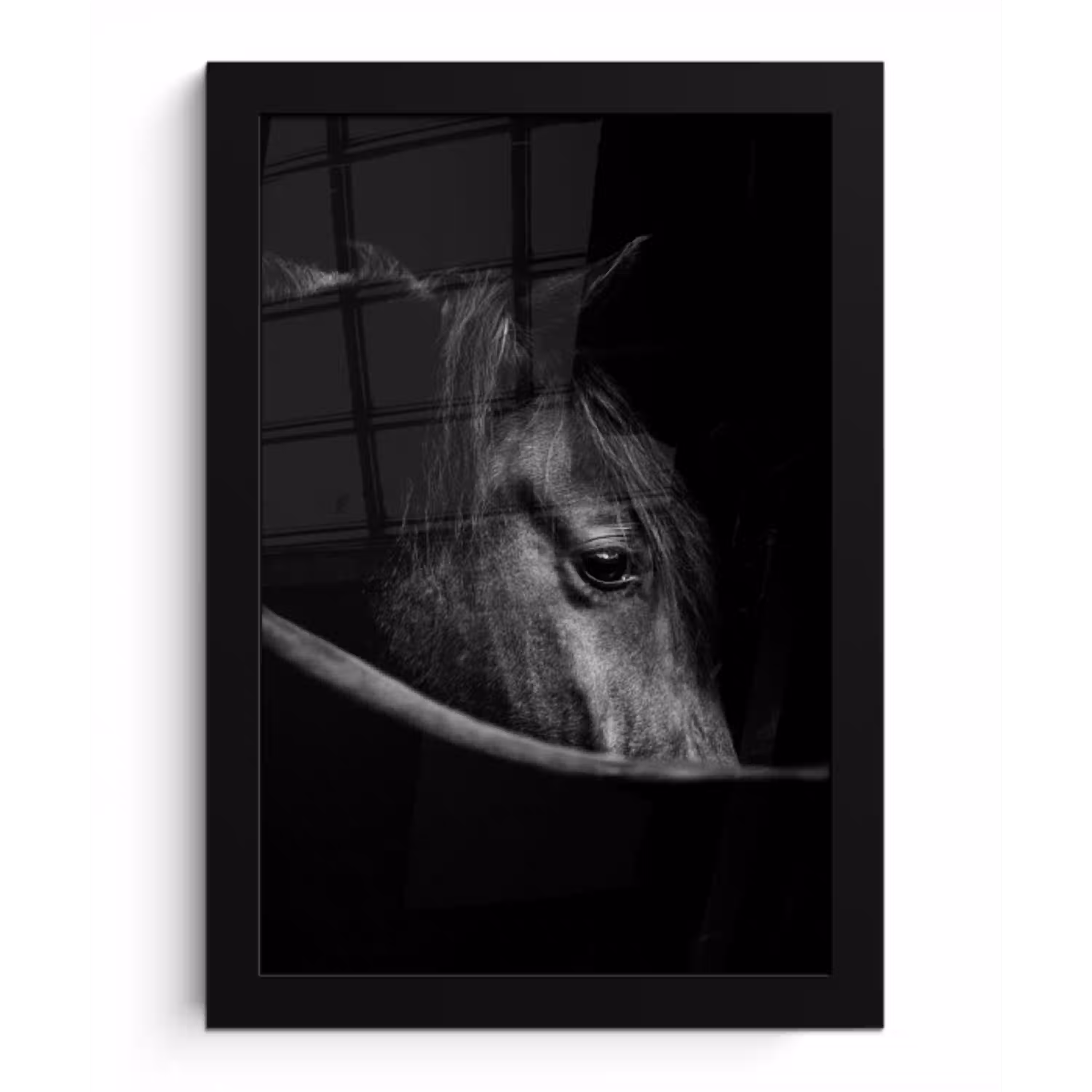 Paarden - Portret - Zwart - Dieren fotolijst zwart zonder passe partout klein -3d