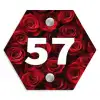 Rode rozen - Traditioneel Naambord Hexagon klein -3d