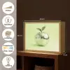 Groen - Disco - Decoratie - Appel Light Box met batterij (Wandlamp) middel -USP_websiteoverzichtNL