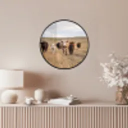 Runderen - Kudde - Landschap - Weide - Rustig Fotolijst rond zonder passe partout klein -sfeer3