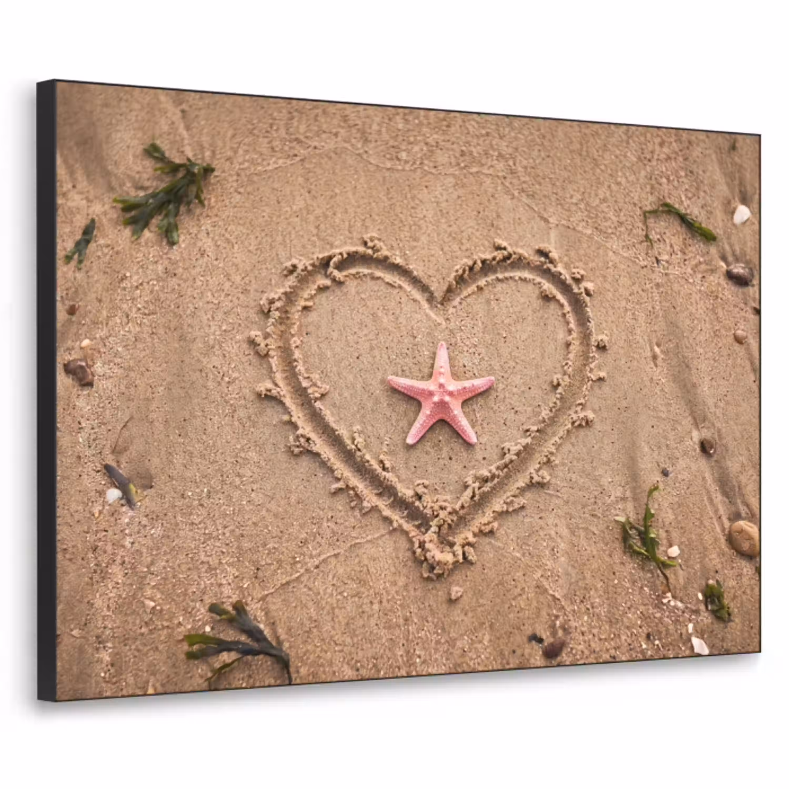 Dieren - Hart - Strand - Zand - Roze Textielframe zwart klein -3d