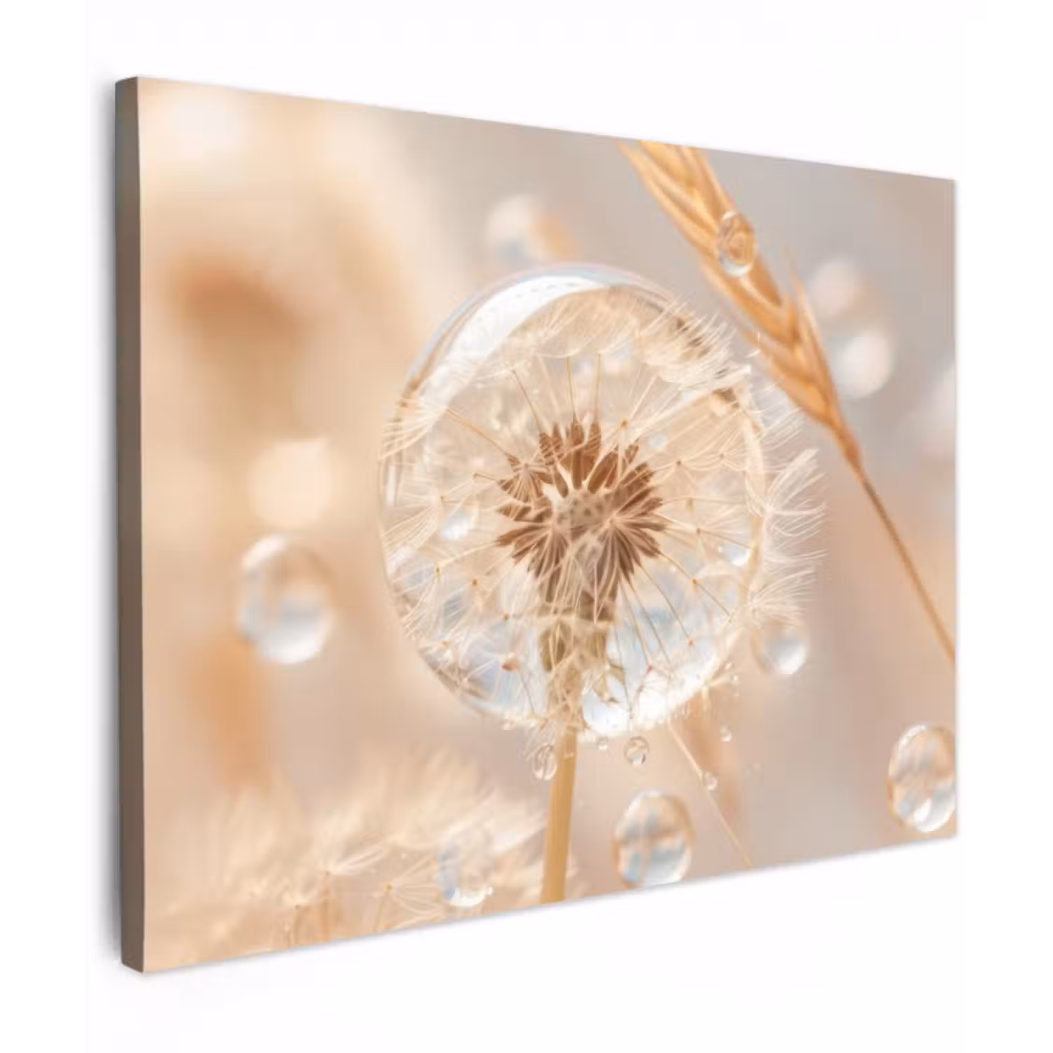 Canvas schilderij - Paardenbloem - Water - Natuur - Stilleven - Modern