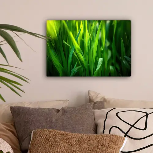 Grassprieten - Lichtinval - Groen canvas 2cm klein -sfeer1