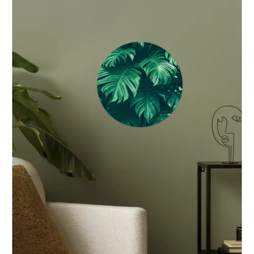 Monstera - Bladeren - Planten - Jungle - Natuur Wandcirkel behangsticker klein -sfeer2