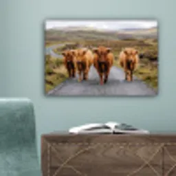 Schotse Hooglanders - Weg - Landschap - Kudde canvas 2cm klein -sfeer4