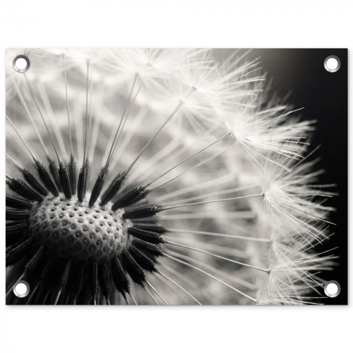 Paardenbloem - Zwart - Wit tuinposter los doek klein -3d