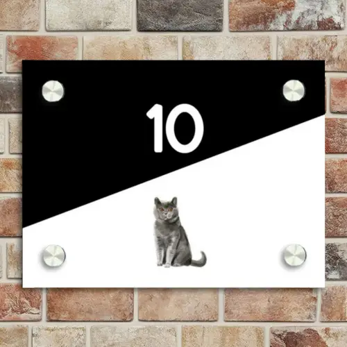 Zwart wit - Huisdier - Grijze kat Naambord Rechthoek middel -sfeer3