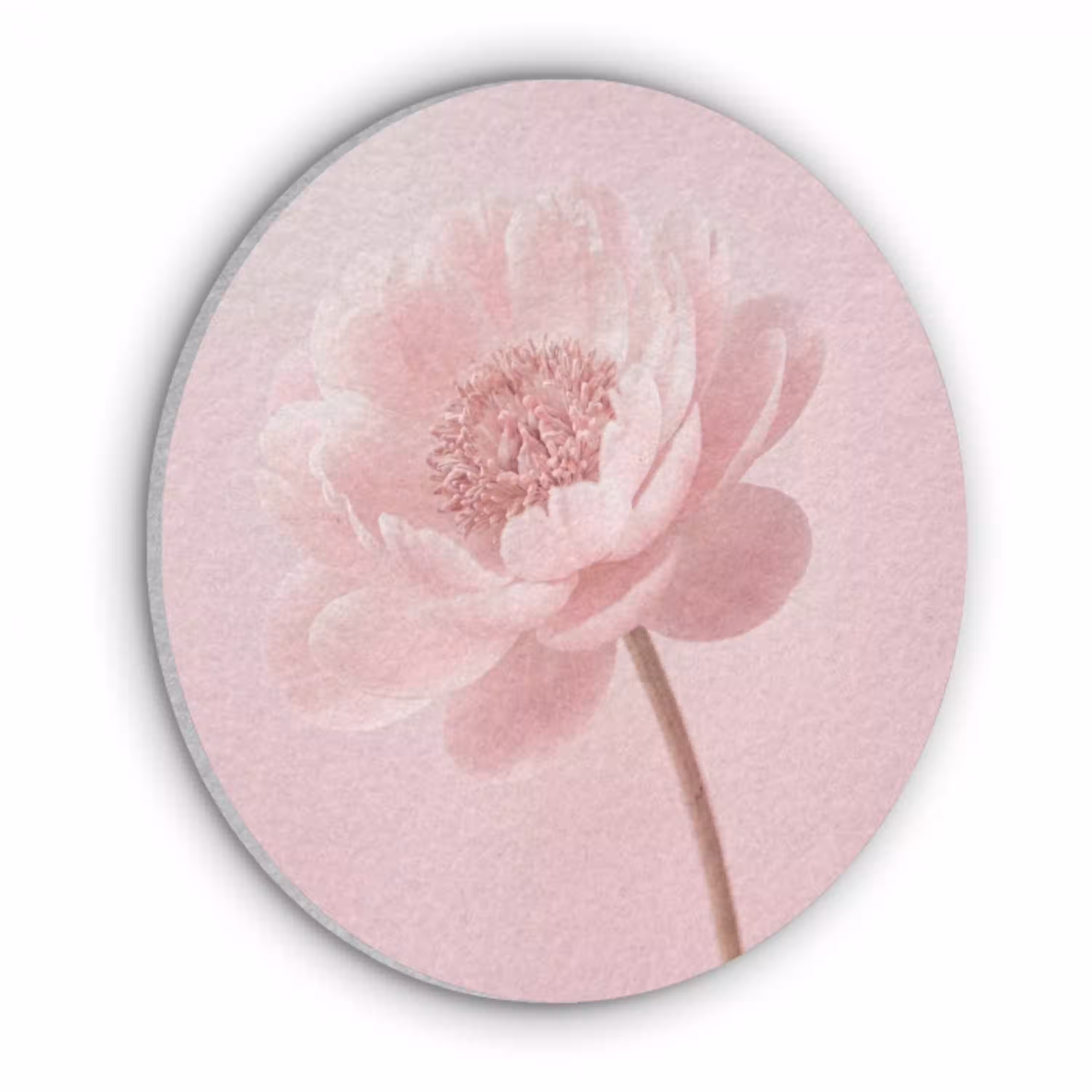 Bloem - Pioenroos - Roze Akoestische PET Vilt - Rond klein -3d