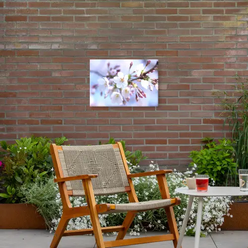 Bloemen - Sakura - Tak - Bloesem takken Tuinposter op houten frame 2 cm dik klein -sfeer3
