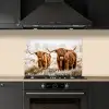 Schotse hooglander - Koe - Natuur - Winter keuken achterwand spatscherm klein -sfeer1