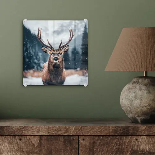 Hert - Dieren - Landschap - Winter - Sneeuw plexiglas 5mm klein -sfeer3