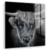 Schotse hooglander - Zwart - Koe - Dieren plexiglas 5mm klein -zzzproduct_nieuw