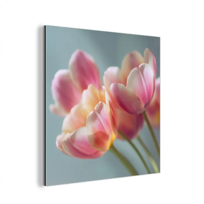 Tulpen - Roze - Stelen aluminium wit klein -3d