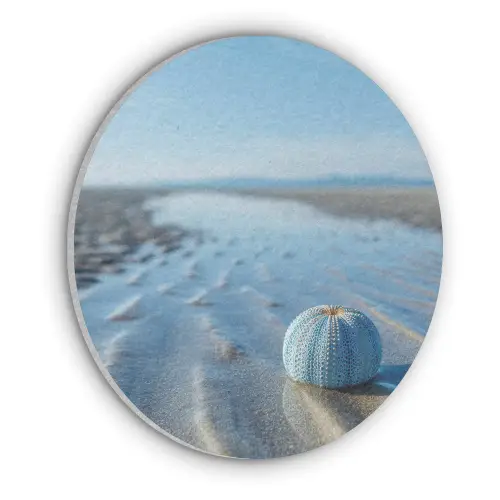 Strand - Schild - Water - Blauw Akoestische PET Vilt - Rond klein -3d