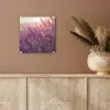 Lavendel - Paars - Zonlicht plexiglas 5mm klein -sfeer5