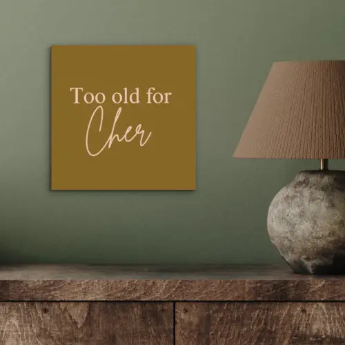 Groen - Too old for cher - Roze aluminium wit klein -sfeer2