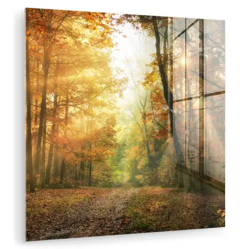 Bos - Herfst - Zon - Landschap - Natuur - Bomen - Bladeren plexiglas 5mm klein -zzzproduct_nieuw