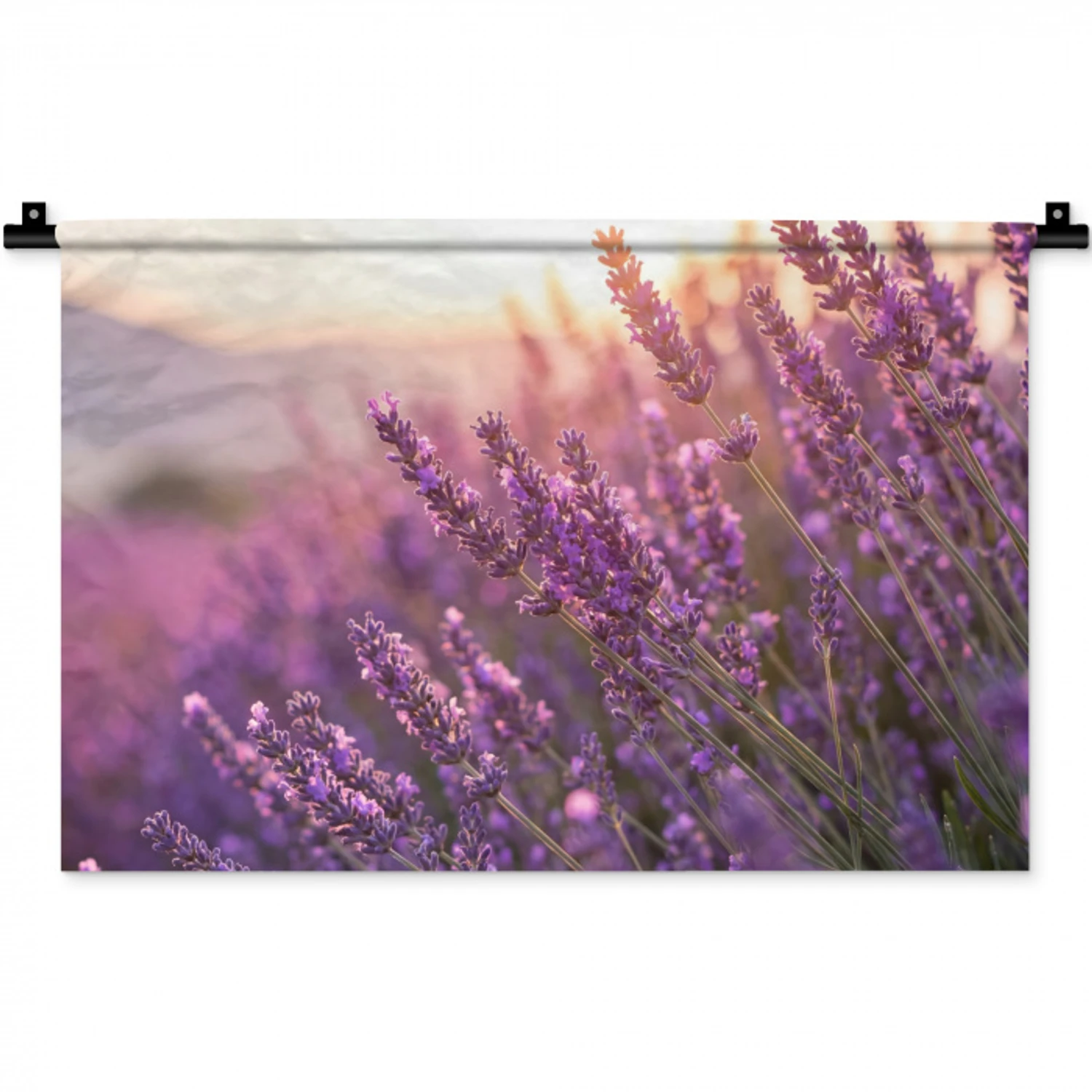 Lavendel - Paars - Zonlicht Wandkleed katoen klein -zz3d