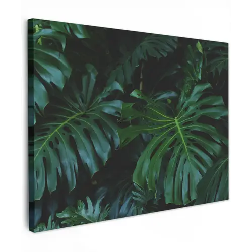 Monstera -  Inductie beschermer - Bladeren - Tropical - Afdekplaat voor kookplaat canvas 2cm klein -z3d