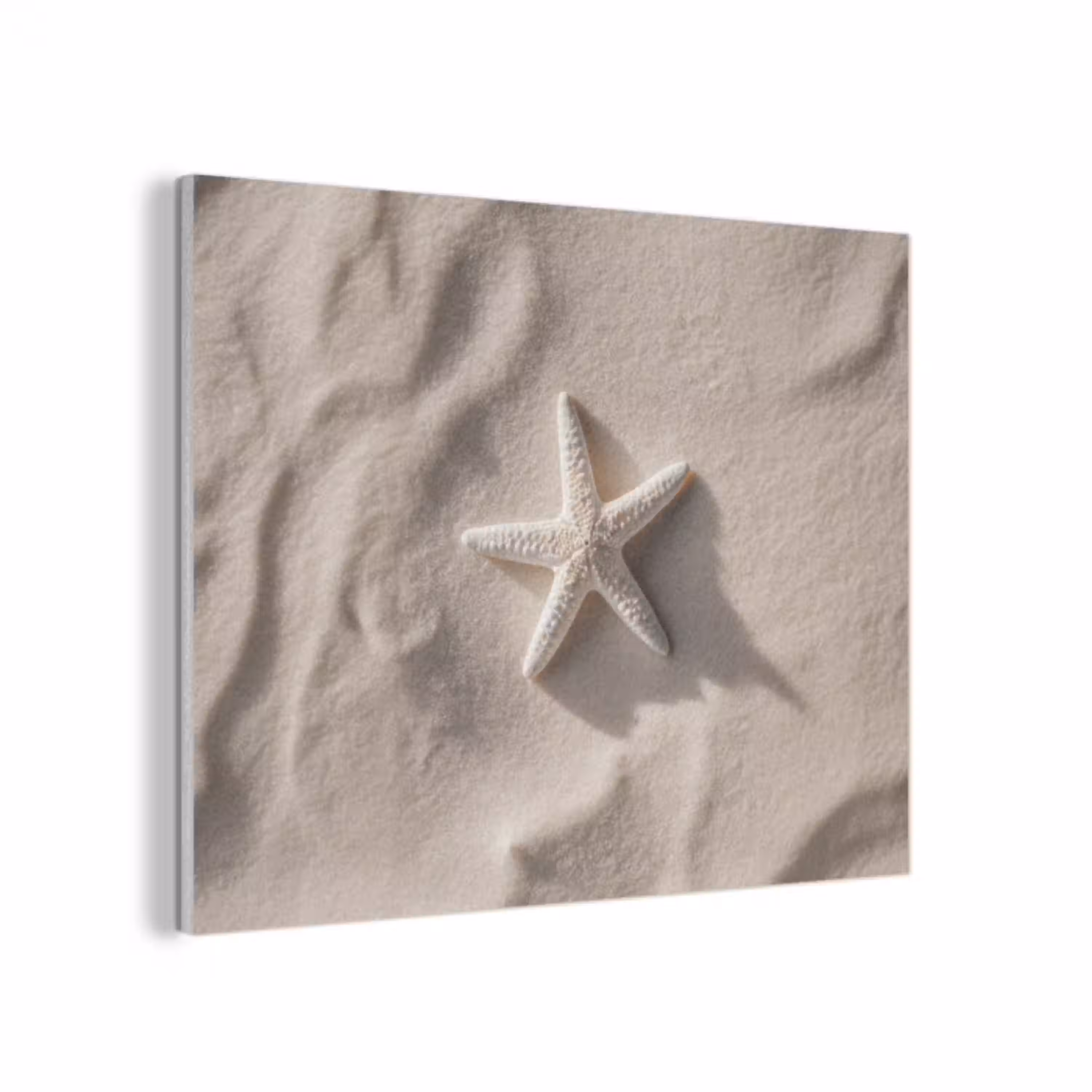 Strand - Zeester - Zand - Beige PET vilt klein -3d