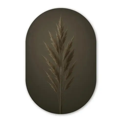 Tak - Pluimgras - Donkerbruin Wandcirkel Ovaal Glas middel -3d