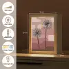 Illustratie - Bloemen - Vlakken - Abstract Light Box met kabel (Tafellamp) klein -USP_FR