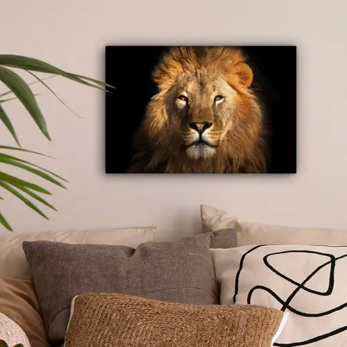 Leeuw - Dieren - Zwart - Licht - Bruin - Portret canvas 2cm klein -sfeer1