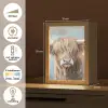 Schotse hooglander - Dieren - Koe - Street art Light Box met kabel (Tafellamp) klein -USP_NL