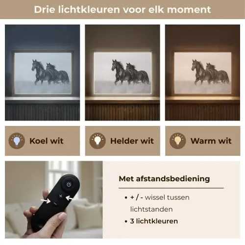 Paarden - Gras - Zwart - Wit Light Box met batterij (Wandlamp) middel -USP_lichtkleurNL