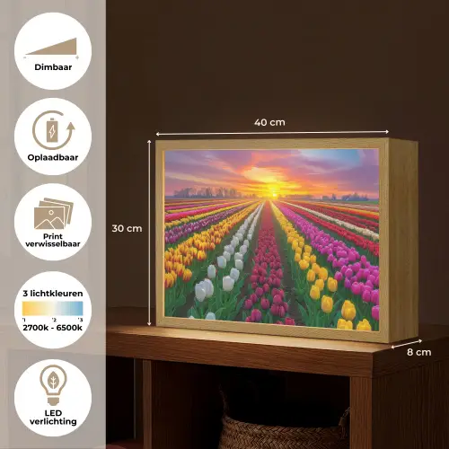 Tulpenveld - Zonsondergang - Kleurrijk Light Box met batterij (Wandlamp) middel -USP_websiteoverzichtNL