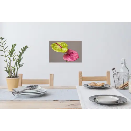 Planten - Anthurium - Groen - Roze Muursticker klein -eettafel