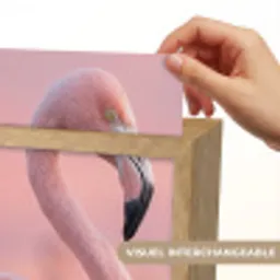 Flamingo - Portret - Roze Light Box met kabel (Kinderlampje) klein -USP_websiteprintFR