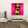 Kat - Art - Zonnebril - Roze aluminium wit klein -sfeer1