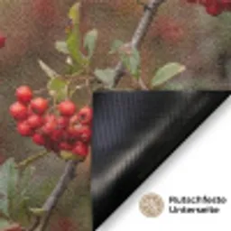 Goudvink - Bessen - Herfst - Natuur - Kleurrijk Deurmat klein -antislip_DE