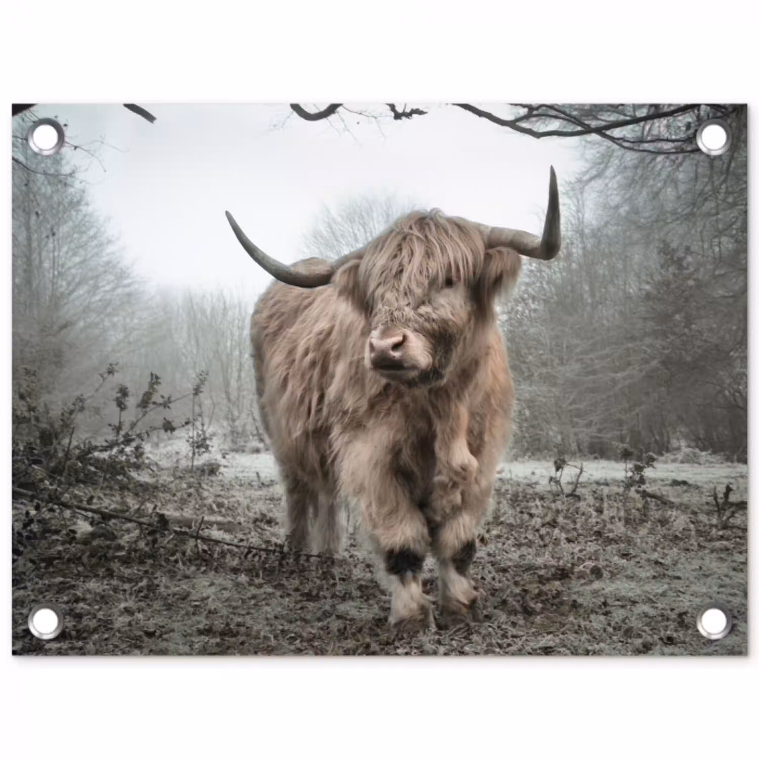 Schotse Hooglander - Bos - Mist - Koe - Dieren - Natuur tuinposter los doek klein -3d