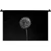 Paardenbloem - Zwart - Bloemen - Botanisch Wandkleed katoen klein -zz3d