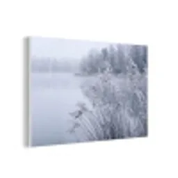 Riet - Bevroren - Winter - Natuur forex 5mm xxl -3d