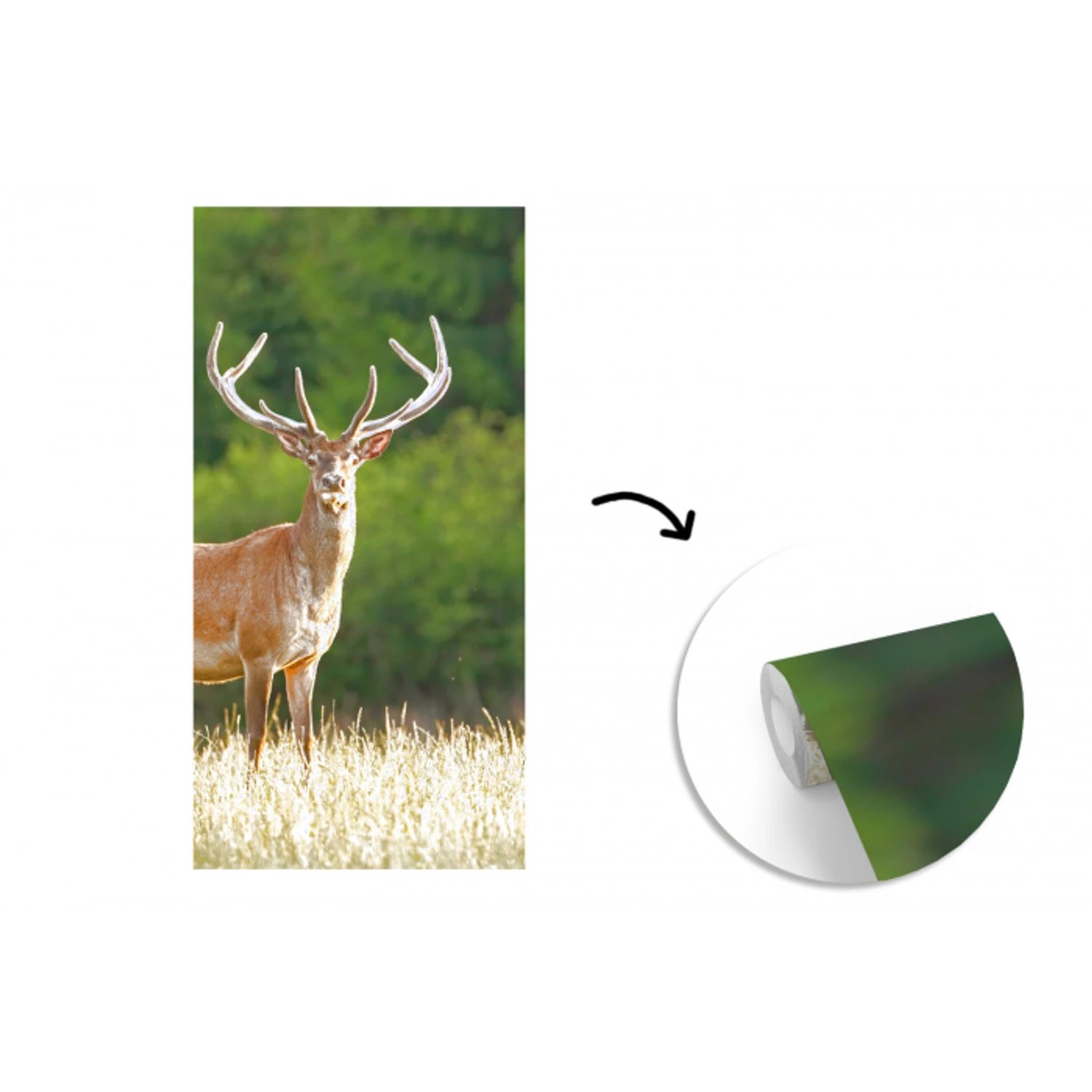 Hert - Gewei - Gras - Natuur - Dieren - Groen fotobehang vinyl groot -3d