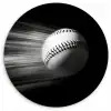 Honkbal - Wit - Vliegt Wandcirkel plexiglas klein -3d
